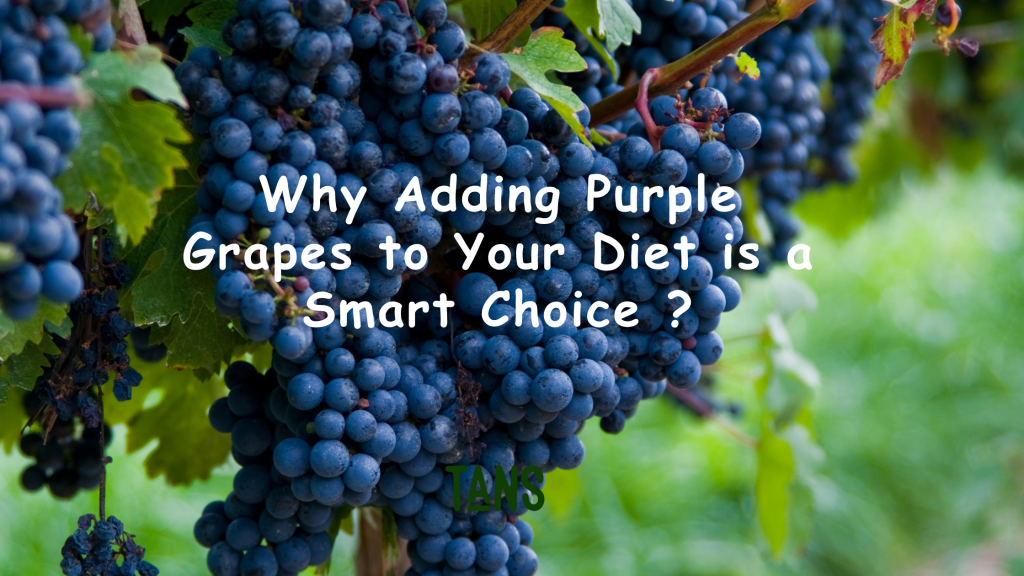 Why Adding Purple Grapes to Your Diet is a Smart Choice ?